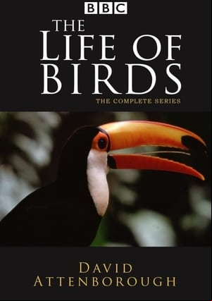 La Vida de las Aves La Vida de las Aves