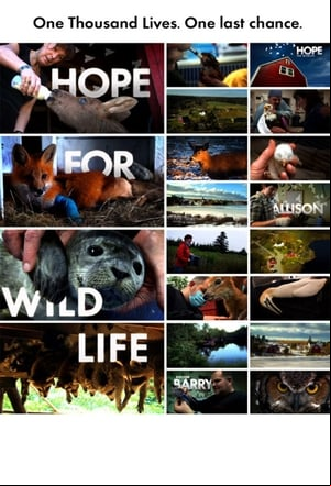 Hope for Wildlife