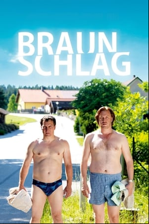 Braunschlag Braunschlag