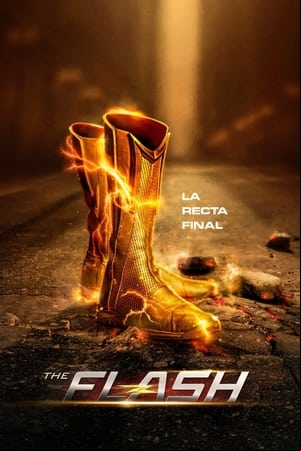 The Flash The Flash