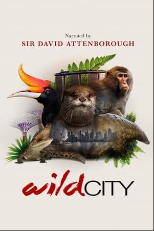 Wild City Wild City