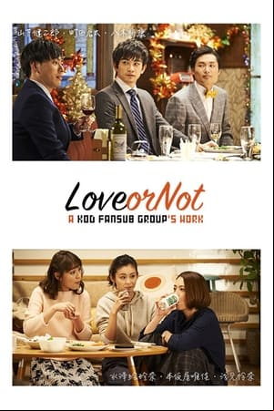 Love or Not