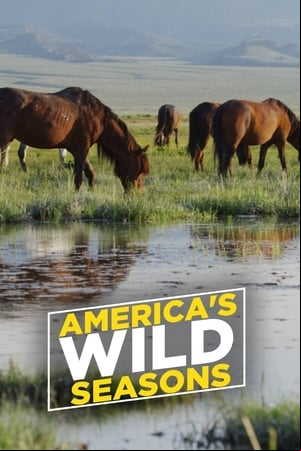 Americas Wild Seasons