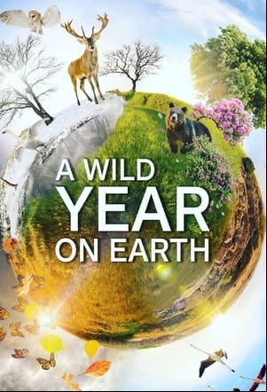 A Wild Year On Earth