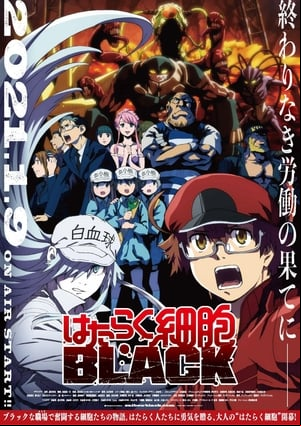 Hataraku Saibou Black