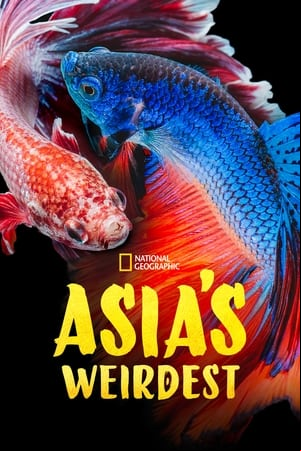 Asias Weirdest