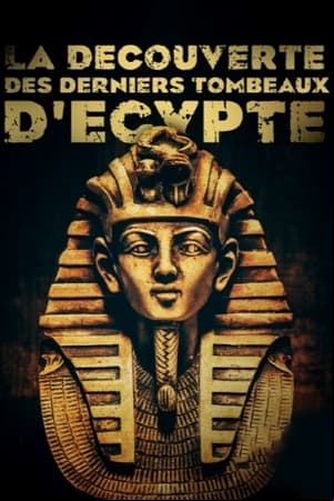 La découverte des derniers tombeaux dEgypte