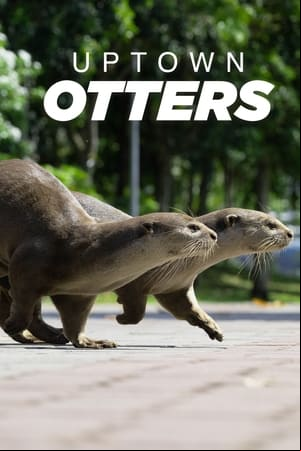 Uptown Otters Uptown Otters