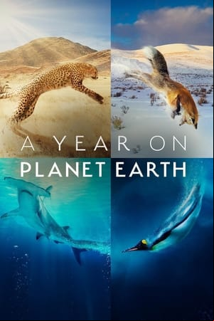 A Year on Planet Earth