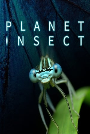 Planet Insect Planet Insect