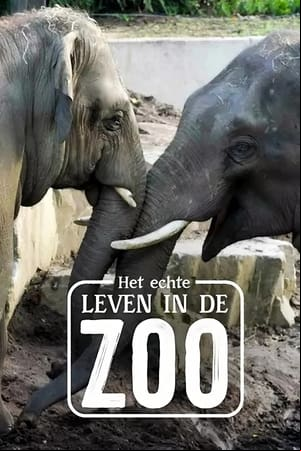 Het Echte Leven in de ZOO